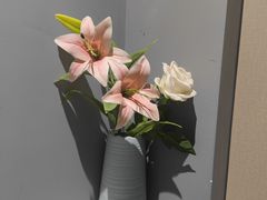-匠心SPA·养生馆(上海南站店)