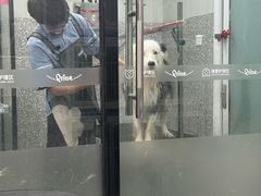 -宠物家(长阳店)