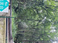 -WeLope紫金山探险公园