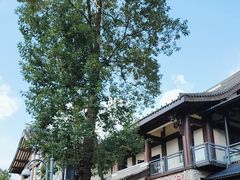 -青城山