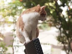 -厦门良筑精品酒店(厦门中山路店)