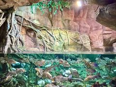 -波塞冬旅游度假区