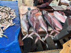 -尼甘布海鲜市场