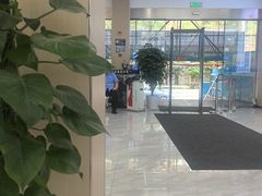-上海大学附属上海和平眼科医院