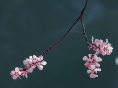 -颐和园