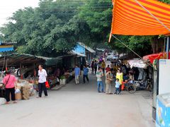 餐饮设施-海鸥岛