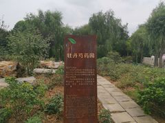 -郑州植物园
