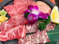 -大阪烧肉BAKA一代(十亩地店)