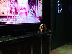 -麦克疯KTV(花园店)