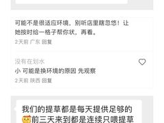 -龙猫仔乐园(惠福东路店)