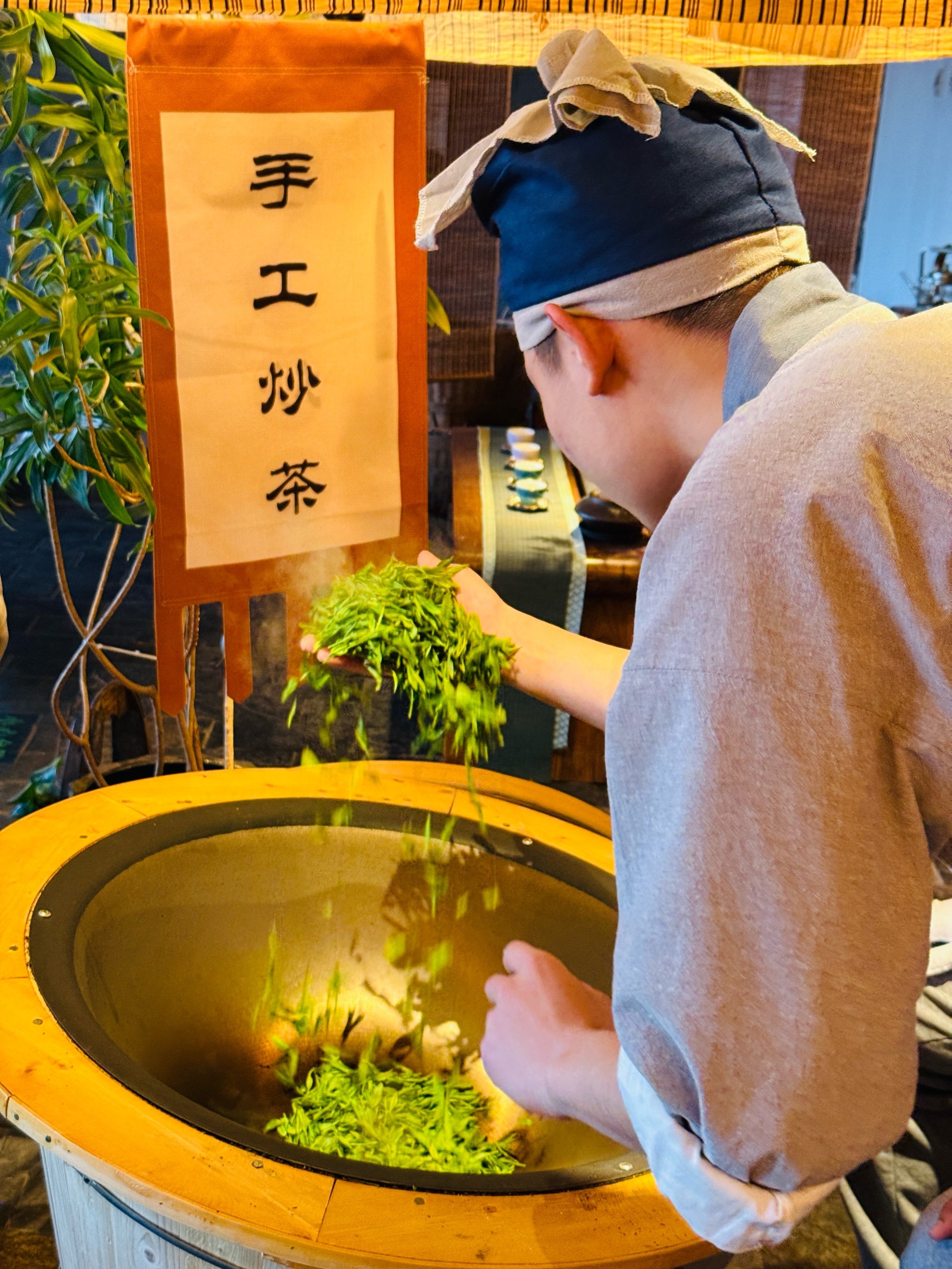 🍃把春天带回家