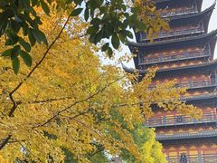 -常熟方塔园