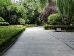 -百脉泉景区