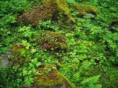 -硗碛藏寨·神木垒景区