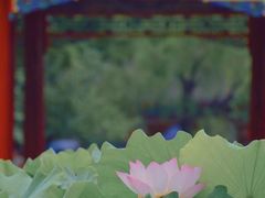 -恭王府博物馆