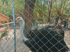 -长白岛森林公园