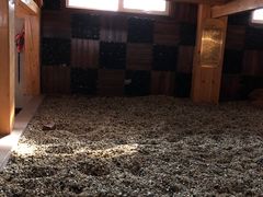 -盛彼得温泉度假酒店
