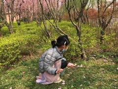 -洨河生态公园