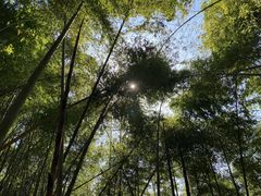 -会稽山峡洞漂流-上青古道