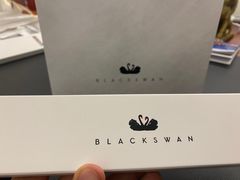 -BLACKSWAN黑天鹅(环球店)