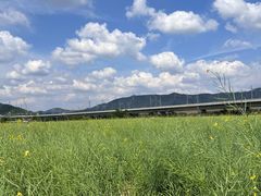 -光明小镇欢乐田园