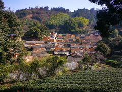 -杨家堂村