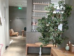 -Cappucimeow猫咪咖啡馆(韦伯时代店)