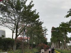 -五通灯塔公园