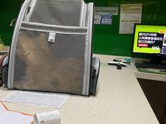 -瑞鹏瑞爱宠物医院·全科·猫科·血液透析中心(龙头寺店)