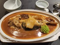 -沈灶河豚宴·河豚融合餐厅(汉中路店)