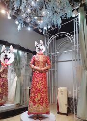 -韩国天使嫁衣婚纱礼服馆(上海旗舰店)