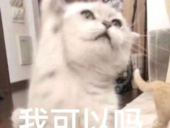 -DIOR迪奥(德基广场女装店)