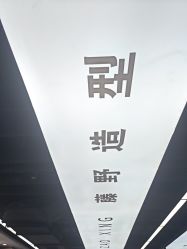 -藤野造型烫染优质