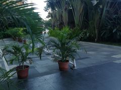 -亚马逊丛林水乐园