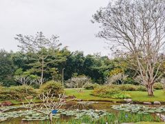 -中国科学院西双版纳热带植物园