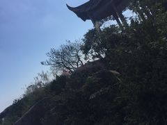 -玉苍山国家森林公园