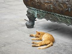 -乐山大佛风景名胜区乌尤寺南门-售票点