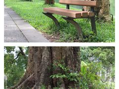 -华南国家植物园-售票处