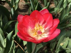 -长春公园(普阳街道)