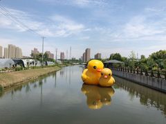 -菊园百果园