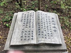 -茅兰沟国家森林公园