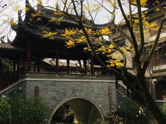 -龙潭水乡