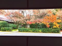-西芳寺(苔寺)