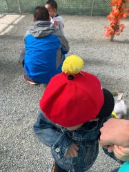 -萌宠亲子动物乐园(槐房万达店)