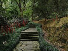 -梦姑塘文化公园