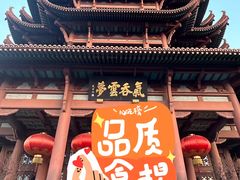 -黄鹤楼公园(黄鹤楼)