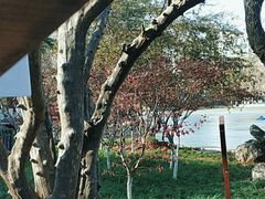 -长乐公园游乐场