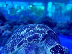 -成都浩海立方海洋公园