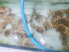 -盛铭轩·巴西烤肉火锅自助(功德林天街GIS店)