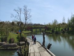 -阳澄湖半岛旅游度假区